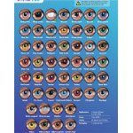  Kolorowe soczewki CRAZY 14mm moc 0,00